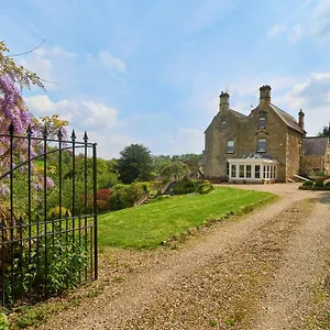 Luxury Big House Berkeley House Near Holiday home